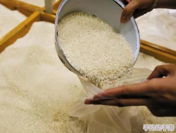 超市模拟器深度解析如何正确拿取与丢弃箱子物品指南