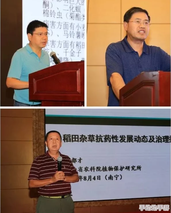 翀的技能伤害有多高？