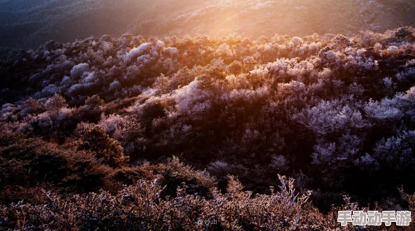 《无限暖暖》愿望梦境仓库图书馆在哪? 《无限暖暖》愿望梦境仓库图书馆在哪?