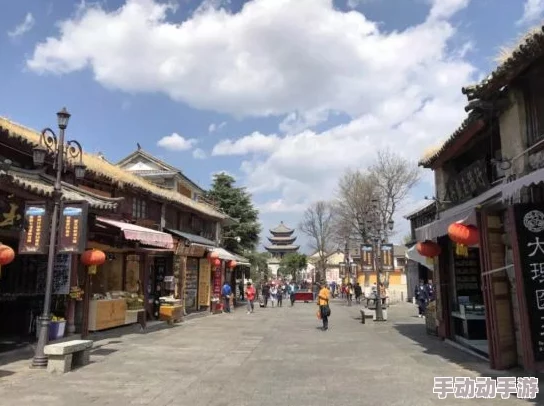 燕云十六声南门大街猫咪位置在哪? 燕云十六声南门大街猫咪位置在哪?