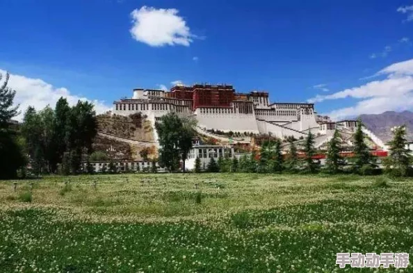 天国拯救2：初探新手村，草药采集地点全揭秘，哪里能找到我的治疗圣品？