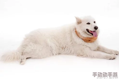 《无限暖暖》世界巡游21号拍照点在哪儿？