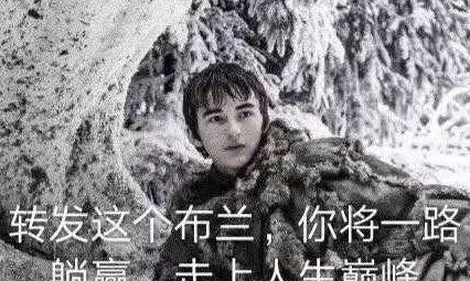 纯辅助如何在《快来当领主》里蹭到车，躺赢当领主？