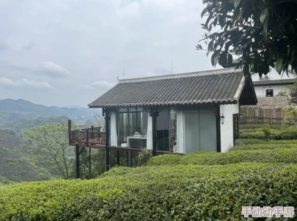 《白荆回廊》中,探索玄戈茶憩的独特配方全揭秘 《白荆回廊》中,探索玄戈茶憩的独特配方全揭秘